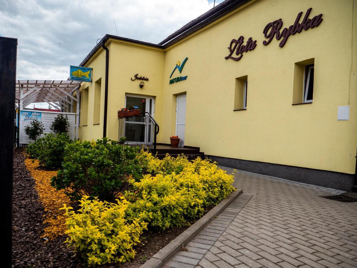 Zlota Rybka Natura Tour Dziwnowek Luaran gambar
